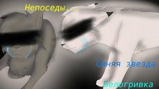 Коты-Воители//Синяя звезда и Белогривка\\