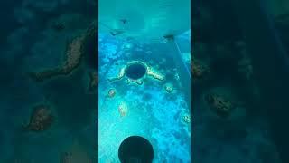 #short_video #travel #maldives #tiktok #youtube #voyage #walking #amazing #beautifulplaces