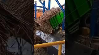 Bongkar muatan tebu di pabrik gula