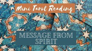 A Quick Message From Spirt | Mini Tarot Card reading