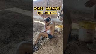 DESI TARZAN KE CHITE  #TARZAN