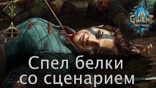 Спел белки со сценарием (Точный удар). Август 2021г. Гайд + бои. Патч 9.2