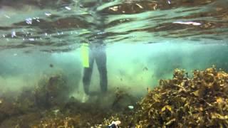 Crazy diver
