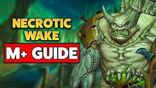 COMPLETE Guide to Necrotic Wake in Mythic+ (TWW Season 1)