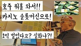 호주 워홀 와서 카지노 슬롯머신으로 1억?? 100% 실화??