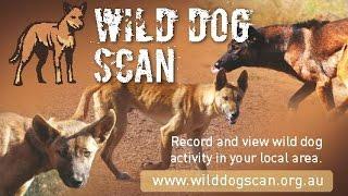 Wild Dog Scan App tutorial