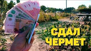 Собирал металлолом 4 месяца и сдал. Сколько заработал?