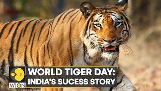 International Tiger Day: India has 70% of world's Tiger population | World News | WION