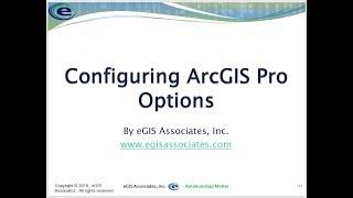 ArcGIS Pro Options