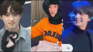 jungcat (try not melt challenge) | ENHYPEN Jungwon