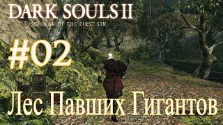 Прохождение Dark Souls 2 Scholar of the First Sin-(часть 2)-Лес Павших Гигантов