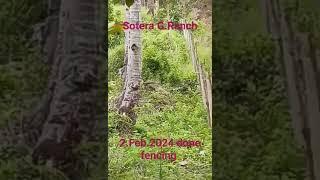 Sotera Ranch 100% OFW INVESTMENT RETIREMENT digital agreculrure    Farm