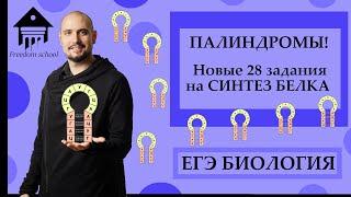 ПАЛИНДРОМЫ! Новые задачи 28 на СИНТЕЗ БЕЛКА ЕГЭ 2023 |ЕГЭ БИОЛОГИЯ|Freedom|