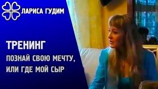 Сетевой маркетинг:  Познай свою мечту, или где мой сыр || FORSAGE (LARISA GUDIM)