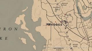 Chocolate Daisy 2 locations Day 2 rotation - RDR2 Online