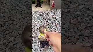 Mind-blowing#monkey #cutebaby #animals #trendingshorts #animal #monkeybaby #socute #babycute #funny