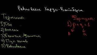 43. Решение задач по популяционной генетики (часть 1)