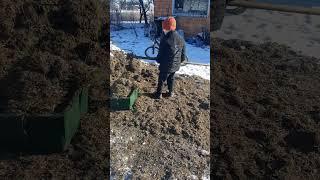 Помощник, кормление животинушек 