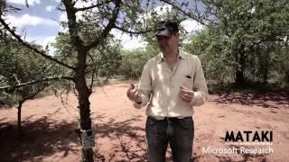 Instant Wild : Using Technology to fight the Illegal Wildlife Trade