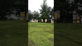 Rt 61 Apiary 15 left this year, lost 7 last year here. Supers are on, but looking like no honey.