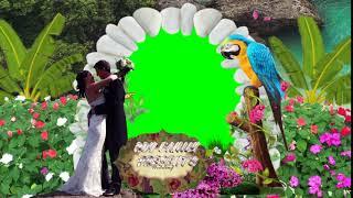 Wedding croma video | wedding 3d effect