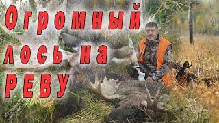 охота на огромный лося на РЕВУ в Сибири. hunting for a huge moose on REVA in Siberia