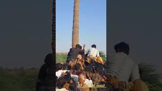 Wagad Wagad Wagad #wagad Wagad #jdvlogs jd vlogs Wagad 1 April 2024 wagad #wagad #jdwagad