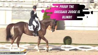 The Dressage Judge Is Blind - Lameness Goes Unoticed By Judge In The Grand Prix Dressage Test