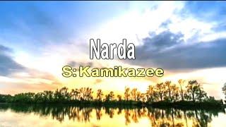 Narda Karaoke (Platinum Karaoke ks100) kamikazee