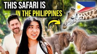 FOREIGNERS react to SAFARI in THE PHILIPPINES!!!