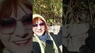 посёлок Курортное