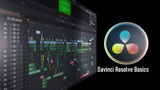 Davinci Resolve basics: the Media Page