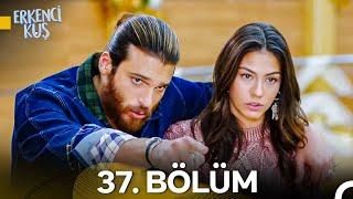 Erkenci Kuş 37. Bölüm