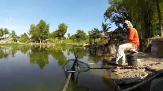 Фидер в тропиках. Tropical Feeder Fishing.