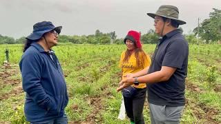 The Inspiring Story of Why He Left His Lucrative Job to Become a Farmer In the Philippines!