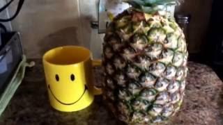 The pineapple show! Episode 1