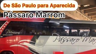 Como ir de São Paulo para Aparecida com a Pássaro Marrom