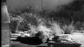 The Giant Gila Monster movie trailer