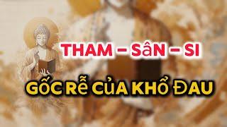 Sự Giác Ngộ Bắt Đầu Từ Tham - Sân - Si ? #đạolýnhânsinh #phat #phậtgiáo #phatgiao #loiphatday