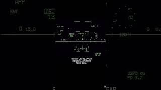 14 RAFALE ON FINAL