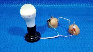 How to generate free electricity with potatoes, aluminum foil and copper | Simple Tips