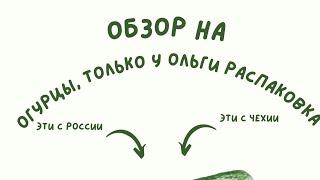 Обзор на три канала:Наша жизнь в Германии, Ольга и семья, будни бабули и деда