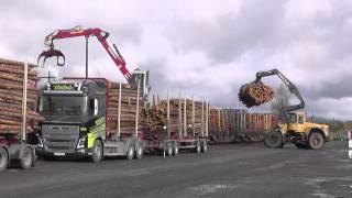 Norwegian Timbertrucks Scania + Volvo unloading / Part I