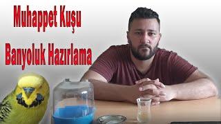 Muhabbet Kuşlarına Banyoluk Hazırlama / OAÇ TV