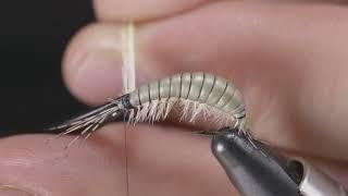 Fly Tying a Grey Gammarus