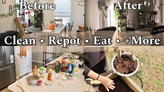 What’s left of my plants | Clean & Organize | Repot With Me | New Set up | Trying Mayak Eggs | Vlog