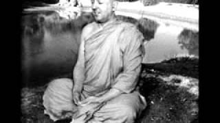 Ajahn Brahmavamso-Avijja(delusion) part 2