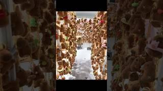 Soooooo many capybaras. Welcome to the world of capybara.#capybara #doll #plush #checkin #fun #many
