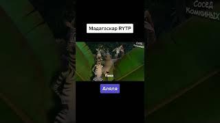 Rytp Мадагаскар нарезка