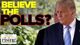People’s Pundit: The Key Metric Which Shows Polls Could Be Wrong About Trump